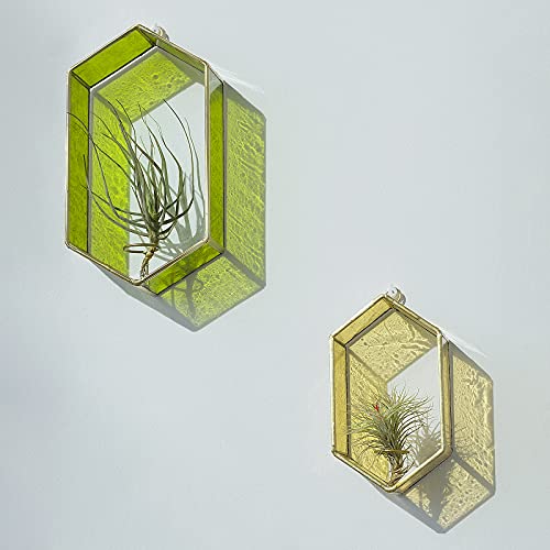 Jajamy Stained Glass Wall Planter Succulent Terrarium, 3 Packs Geometric Hexagon Hanging Air Plant Wall Mount Holder Vertical Floating Glass Planter For Minimalist Modern Decor Hanger #TOP5
