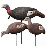 Poen 3 Pack Turkey Decoys Collapsible Hunting Combo Decoy Standing Lifelike Turkey Decoys Realistic Hunting...