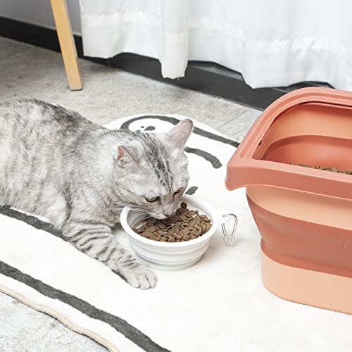 The 30 Best 20 Pound Dog Food Containers of 2023 [Verified] Cherry Picks