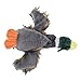 Cani Gatti Giocattolo, Peluche Anatra Selvatica Che Fa Suono Bambola interattiva per Cane Gatto solitudine solitudine 20 x 20 x 4 cm