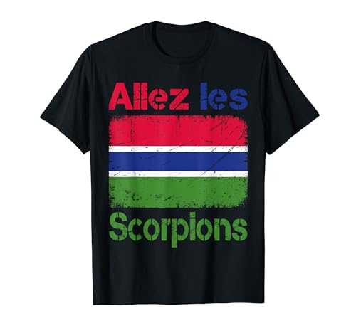 Photo de Drapeau Gambie, Idée Cadeau Supporter Gambien 2024 T-Shirt