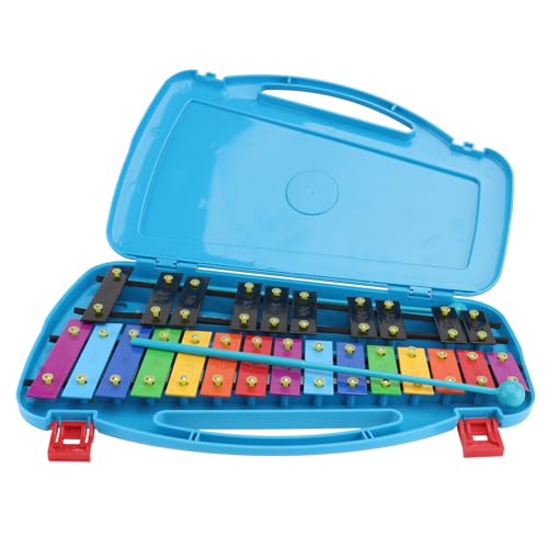 Metallophone aluminium à plaques colorées et boîte robuste pour apprendre les notes