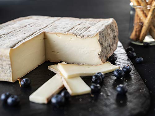 Taleggio DOP | Seltener Käse aus Italien Cover