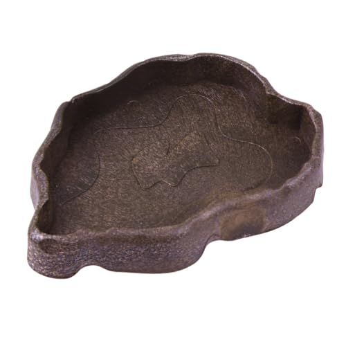 CORHAD ঒ޗpW^t[hM J gJQ ̋a  pIőϋvybgpH [?F