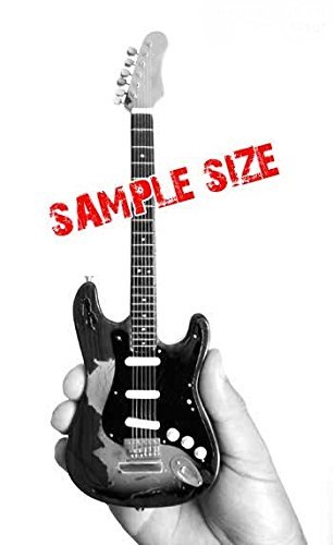 Mini Rose Acoustic Guitar For Poison Bret Michaels Display Gift #TOP4