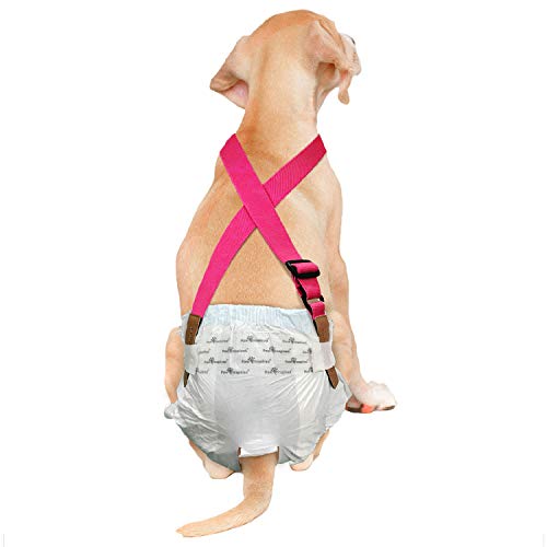 Image of PAW Inspired Dog Diaper Suspenders, Pink, Small /Medium | Small /Medium, Stretchy Adjustable Straps, Velcro Closures, For Female and Male Disposable and Washable Diapers