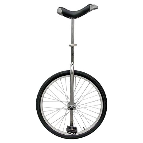Fun 24 Inch Chrome Unicycle Cover