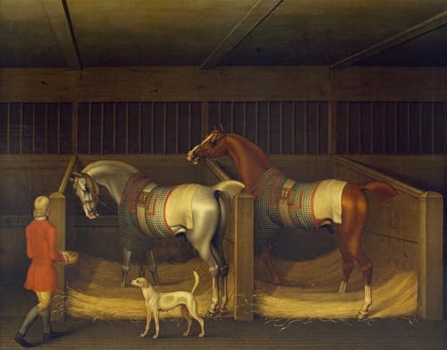 Cuadro de Florencia de Giuseppe Zocchi, pintura decorativa para salón de 60x90cm