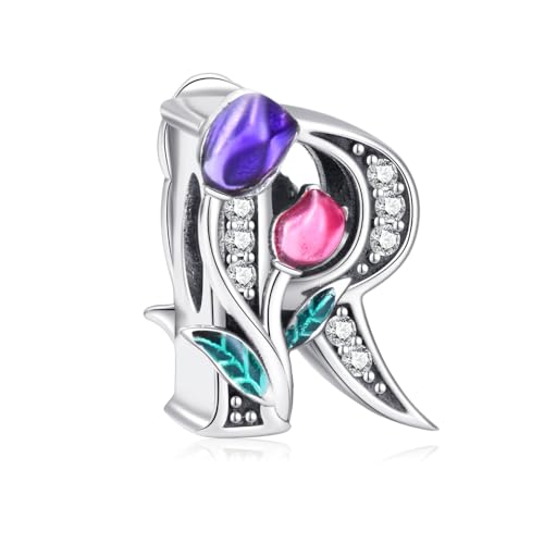 CAIYIRUIC Abalorio de letra del alfabeto de la A a la Z compatible con pulseras Pandora, collares de plata de ley 925 con circonita cúbica, colgantes para mujer, Plata de ley Plata, Circonita cúbica