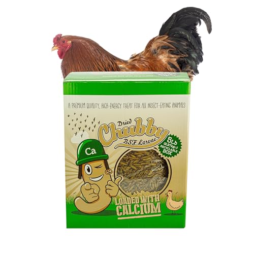 Chubby Dried Black Soldier Fly Larvae | 5 lbs | High-Calcium Non-GMO Insects for Chickens, Laying Hens & Wild Birds – Premium Protein Treat for Strong Eggs & Healthy Feathers