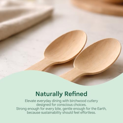 Image of Eco Aaroyaa Wooden Spoons - Disposable Eco-Friendly Wooden Spoon - Natural Wood, Smooth Splinter-Free Finish, Strong & Lightweight Disposable Spoon (165 mm, Pack of 100)