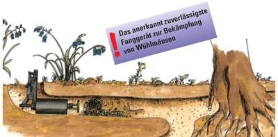 W2 Piège à campagnols – Appareil de tir à campagnols sans cartouches, fiable et sûr, piège à campagnols en acier galvanisé — vue 3