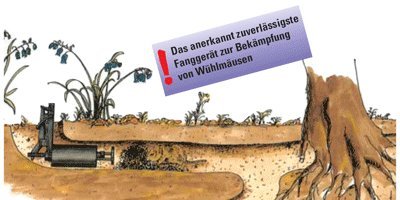 Wühlmausbekämpfung Kieferle Original W2 – Effektive Lösung für den Garten