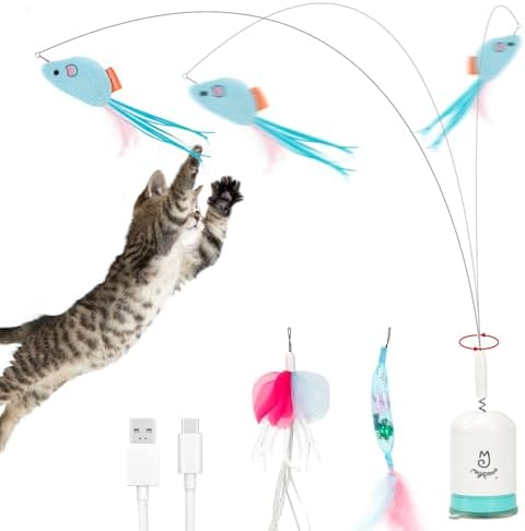 Interactive Cat Toys for Indoor Cats — main product photo from Amazon listing (ASIN B0FPLYFP5D)