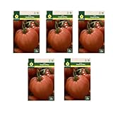 Tomate Corazón de Buey Pack 5 Sobres de Semillas de Plantas de Huerto