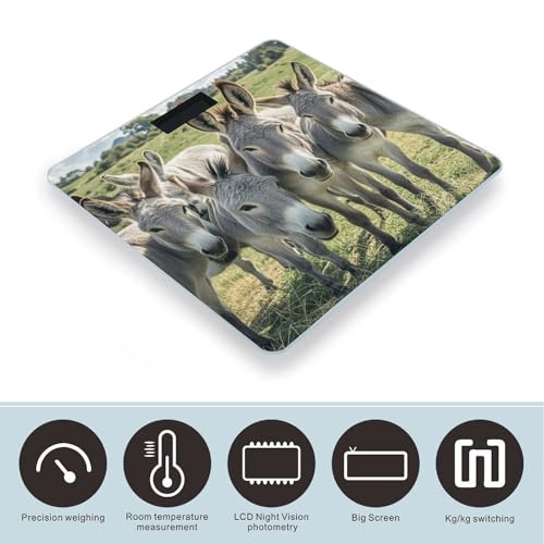 Báscula digital de baño Donkey Animals con vidrio templado miniatura 3