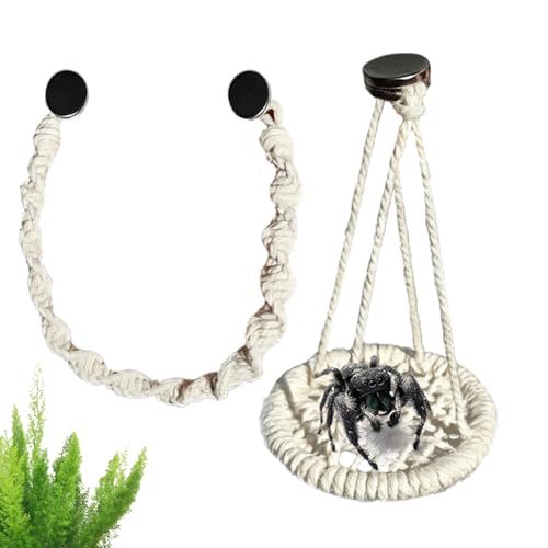 Humkopnl �W�����s���O�X�p�C�_�[ ���� �P�[�W �A�N�Z�T���[ - ���t���\ ���[�v�X�C���O - �P�[�X�����p �A�N�Z�T���[,�g�J�Q�A�c���[�t���b�O�A���h�J�� �ɐB �p �ƒ� �p