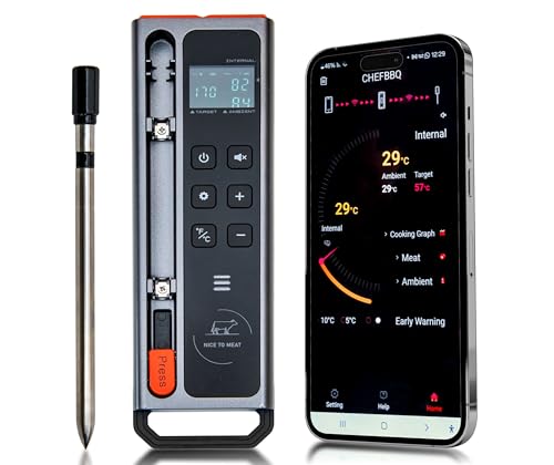 Wireless Meat Thermometer with Bluetooth & WiFi