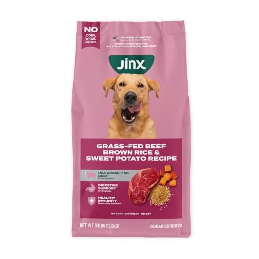 Jinx Premium Dry Dog Food, for All Lifestages - Real Beef, Brown Rice & Sweet Potato Kibble with Superfoods for Immune Support & Probiotics for Digestive Support - No Fillers - 30lb