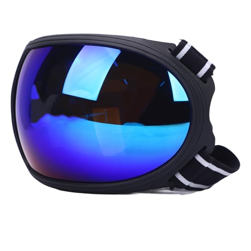 Lunettes de cheval en plastique Drfeify avec sac de rangement pour harnais