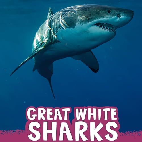 Great White Sharks by Jaclyn Jaycox episode artwork