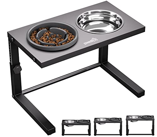 Raised Slow Feeder Dog Bowls, Elevated Dog Bowls with Height ...