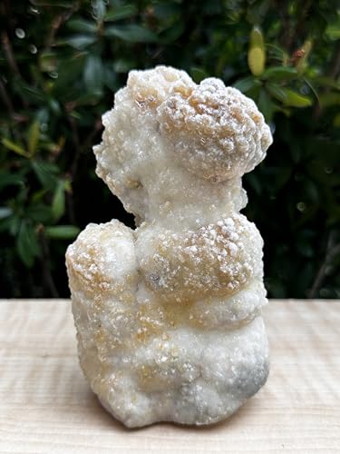 Image of GAF TREASURES Chalcedony & Crystal Quartz Stalactite 3-8 inch, Natural Quartz on Chalcedony Stalactite Specimen (1-2 lb)