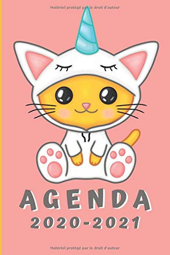 Télécharger Agenda 2020 2021: Agenda Scolaire 2020 2021 college | Agenda semainier | Emploi du temps | Calendrie Gratuit