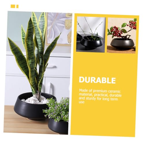Pot de fleur céramique créatif idéal pour décorer un bureau moderne - 7