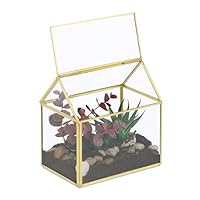 Relaxdays Pflanzenterrarium, Glas & Kupfer, HBT: 15x15x10 cm, Deko Glashaus Kakteen & Moos, Glaskasten Fensterbank, gold