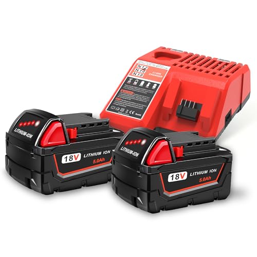 Worthmah 2 Pack 5.0Ah 18V Batteries and Charger kit Replace