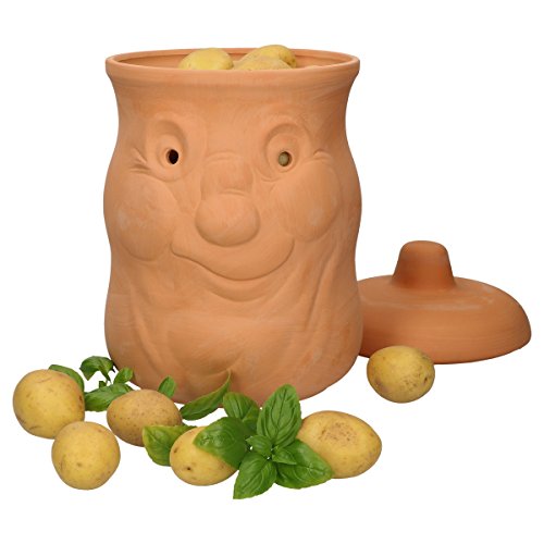 WERBUNG: MamboCat Terracotta Tontöpfe Vorratsdosen-Set Kartoffel Zwiebel Knoblauch Töpfe Set mit Deckel I Aufbewahrung Zwiebeln Kartoffeln Knoblauch-Behälter I Kartoffeltopf Zwiebeltopf Knoblauchtopf Set - JETZT BEI AMAZON KAUFEN!