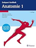  Endspurt Vorklinik: Anatomie 1: Die Skripten fürs Physikum