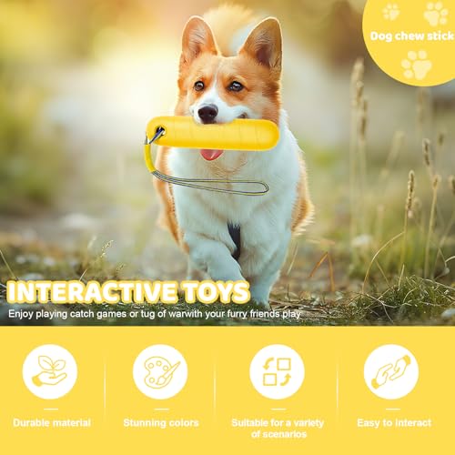 MplehDa Schwimmender Hundedummy, Hundespielzeug Wasserspielzeug Hund für Wurf- und Apportierspiele an Land und im Wasser, Interaktives Hundespielzeug, Hunde Spielzeug Schwimmend Hundetraining