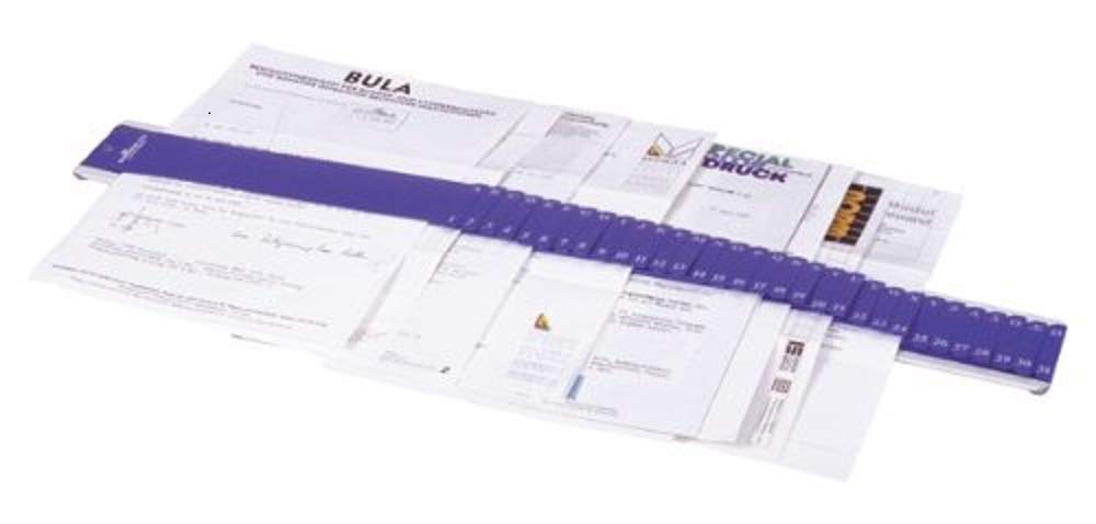 Durable 370006 Trieur de Bureau de Type Bande Métallique avec Onglets en Polypro - Indexation alphabétique A-Z et numérique 1-31