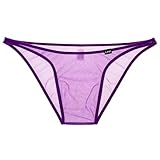 L パープル メンズビキニ 【La-PommeHomme/ラポーム・オム】 シースルー 透け 日本製 下着 ショーツ 通気性 下着 シンプル 男性用