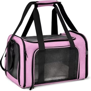 Bolsa Mala De Mão Para Transporte Viagem De Pet Cães E Gatos Reforçada Avião Passeio Cabine Ventilação 4 Lados Portátil (Rosa)