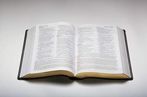 Every Man's Bible-NLT Deluxe Explorer