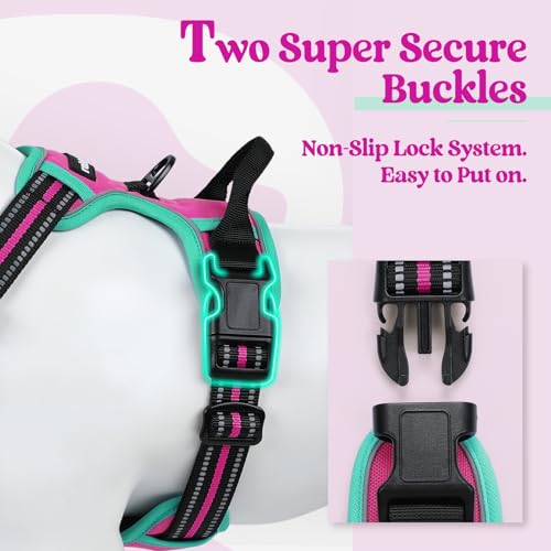 Image of rabbitgoo Dog Harness No Pull with 2 Leash Clips, Adjustable Soft Padded, Reflective Oxford No Choke Pet Vest with Easy Control Handle for Large Dogs, Hot Pink & Turquoise, XL