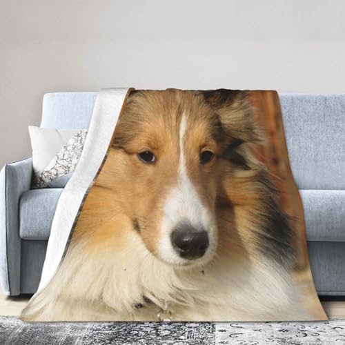 ѕz Ђ| |zc GARѕz VFeB̌ @\ tl ɍב@ y _炩 g GAR΍  |ѕz lGʗp AQp Qp N[[ P[vp h΍ 蕨 50"X40"