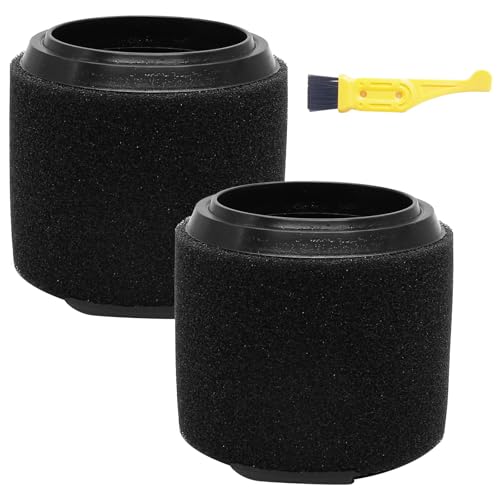 Filtres rechange VF3700 aspirateur Ridgid cuve compatible WS0400DE WS14045, pack de 2