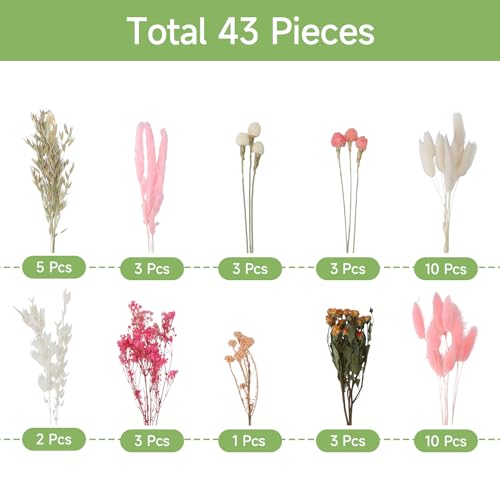 Set de flores secas naturales DIY Bulk Boho flores rosa miniatura 3