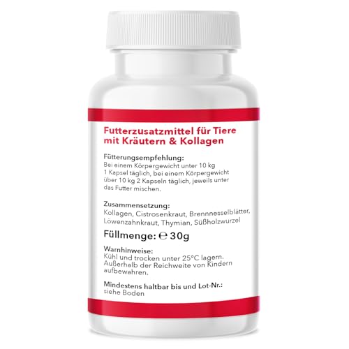 Saint Nutrition® Zeckenix – Zeckentabletten für Hunde – Zeckenschutz Hund - Futterergänzung mit natürlichen Inhaltsstoffen – Ohne künstliche Zusätze – 60 Tabletten für Katzen und Hunde