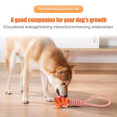 GmwyCzV 3 Stück Hundespielzeug,5cm Hundespielzeug Ball mit Seil Naturkautschuk Ball,Interaktives Hundeball Spielzeug,Kauspielzeug für kleine mittlere große Hunde für Zahnpflege (Blau Orange Grün)