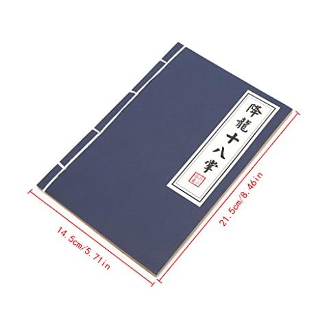 Carnet TSBB Kungfu Cover