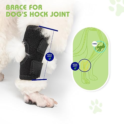Image of Dog Leg Braces for Back Leg, Dog Knee Brace Compression Support for Dog Joints and Legs, for Injury and Sprain Protection, Wound Care and Lost of Arthrit Stability (Large)