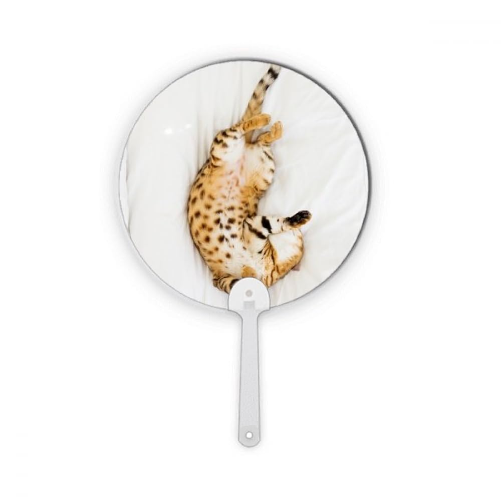 Éventail rond en plastique chat ocelot décoratif pour artisanat