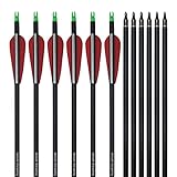 e5e10 31' Mix Carbon Arrow with Replaceable Field Points Completed Arrow 500 Spine, Hunting & Target...