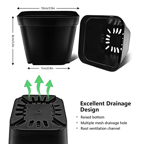 WAIZHIUA 50Pcs Plant Flower Pots 10cm Plastic Square Plant Nursery Pots Small Flower Plant Container for Succulent Fruit Vegetable Seedlings Transplanting - Image 2