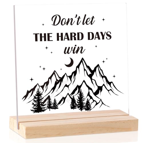 INCOK Acotar Bookshelf Decor Gifts - A Court of Thorns and Roses Merch Don't Let The Hard Days Win...